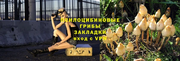 спиды Покров