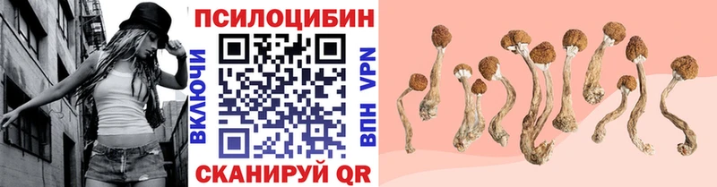 Галлюциногенные грибы прущие грибы  Купить  Унеча 