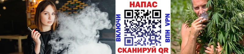 Купить где  Унеча  Бошки Шишки VHQ 